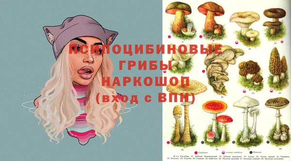 spice Арсеньев