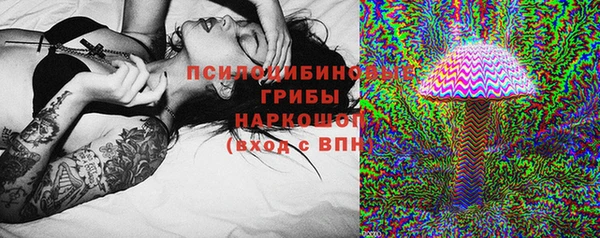 spice Арсеньев