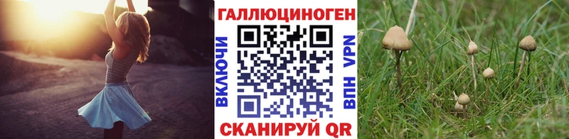 Псилоцибиновые грибы ЛСД  Свирск 